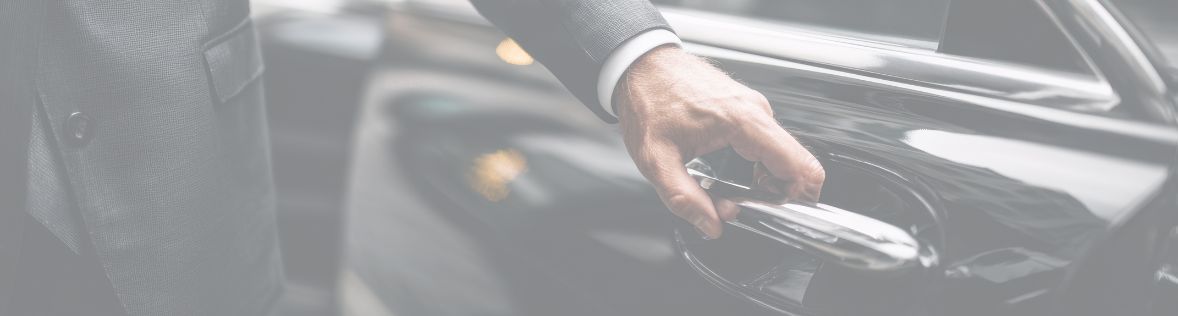 delegaciju priemimo paslaugos