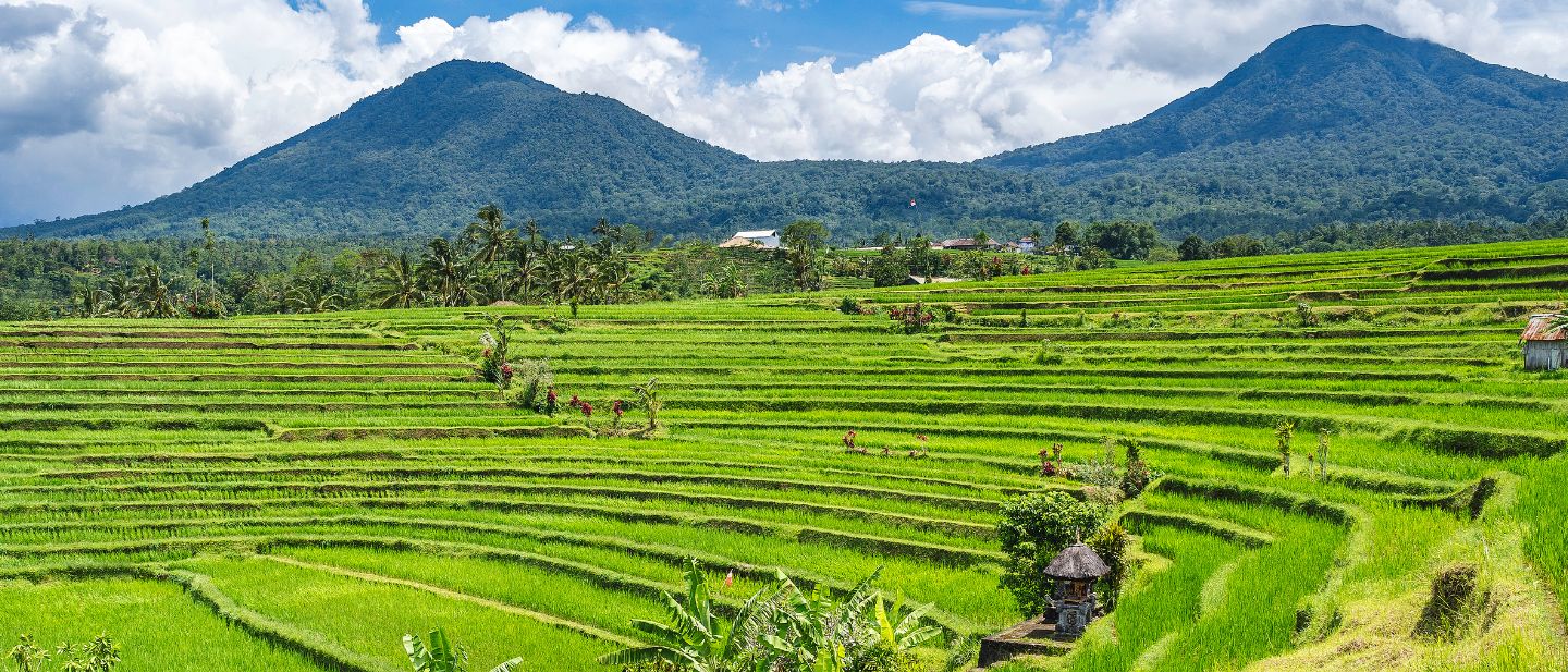 Estravel kelionių agentūra