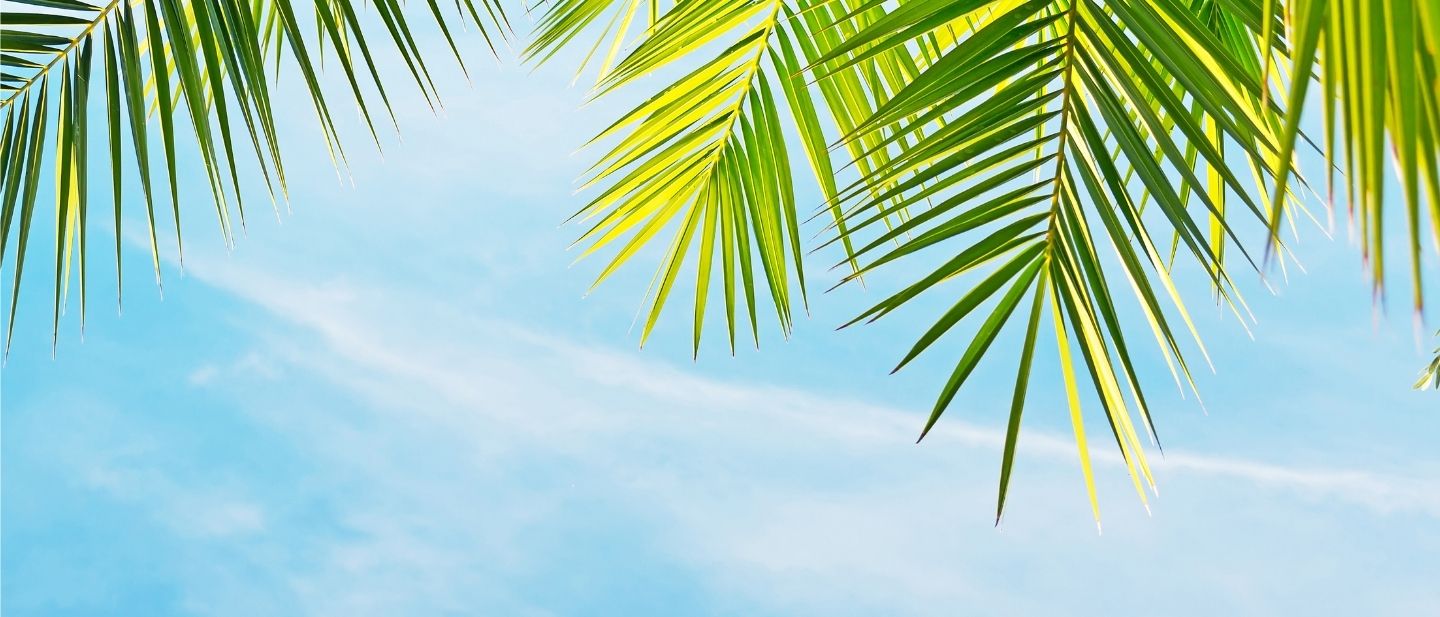 Estravel kelionių agentūra