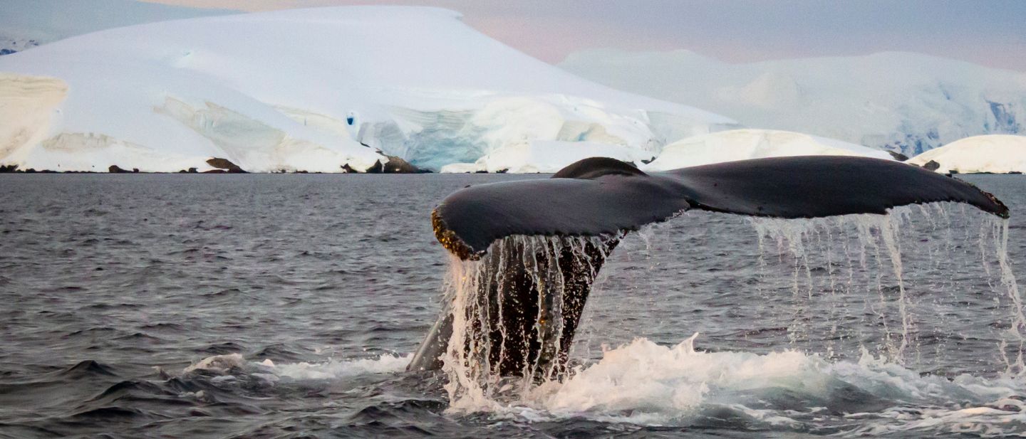 Estravel kelionių agentūra