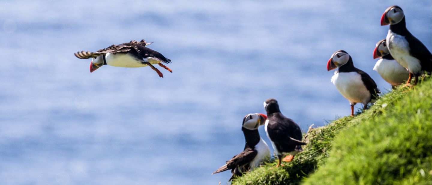 Estravel kelionių agentūra