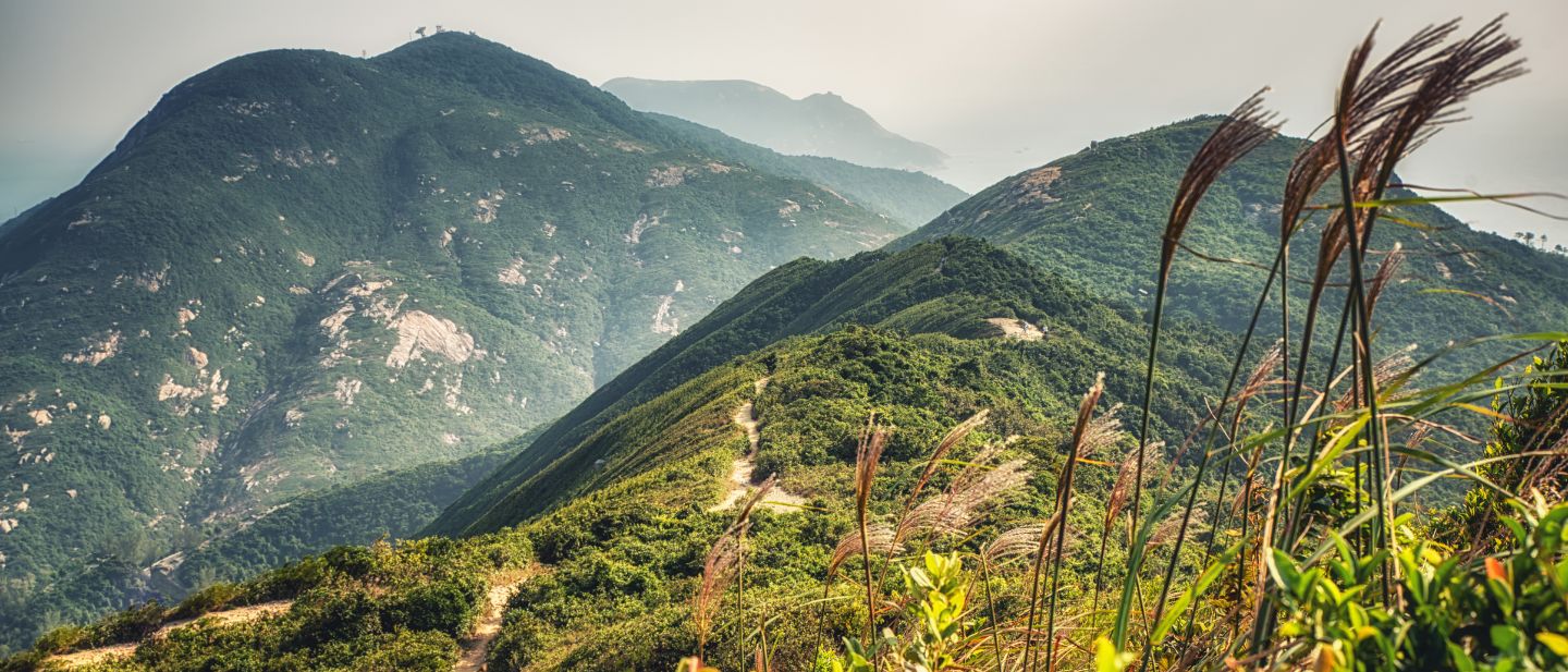 Estravel kelionių agentūra