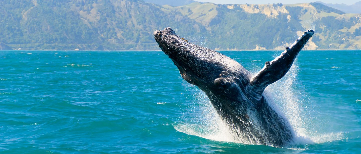 Estravel kelionių agentūra