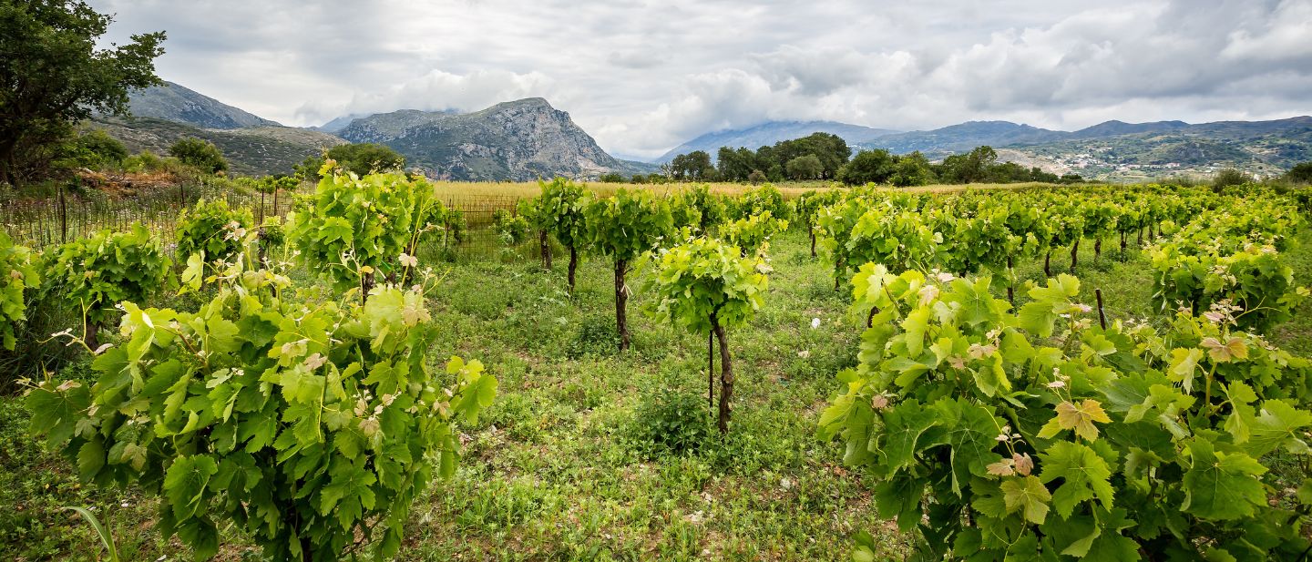 Estravel kelionių agentūra