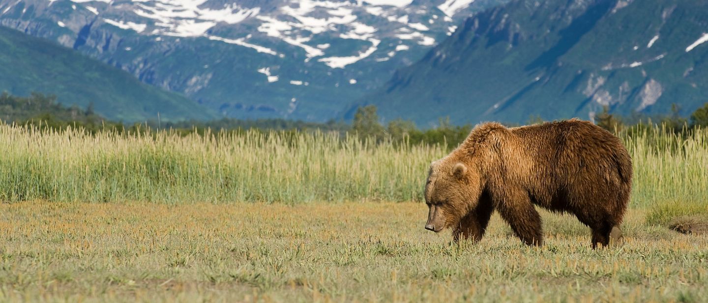 Estravel kelionių agentūra