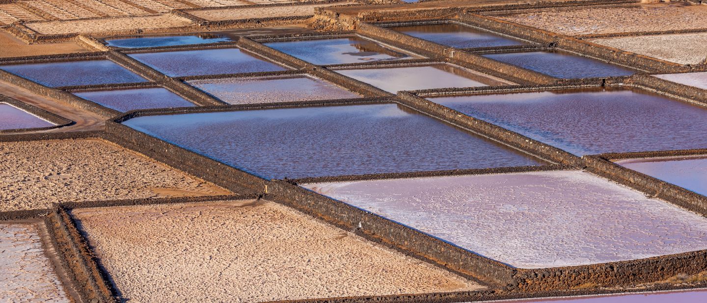 Estravel kelionių agentūra