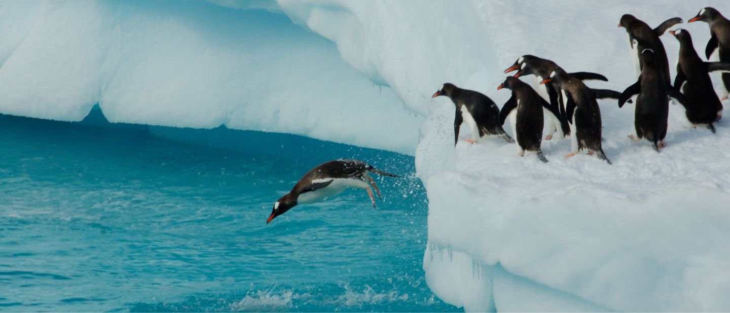 Estravel kelionių agentūra