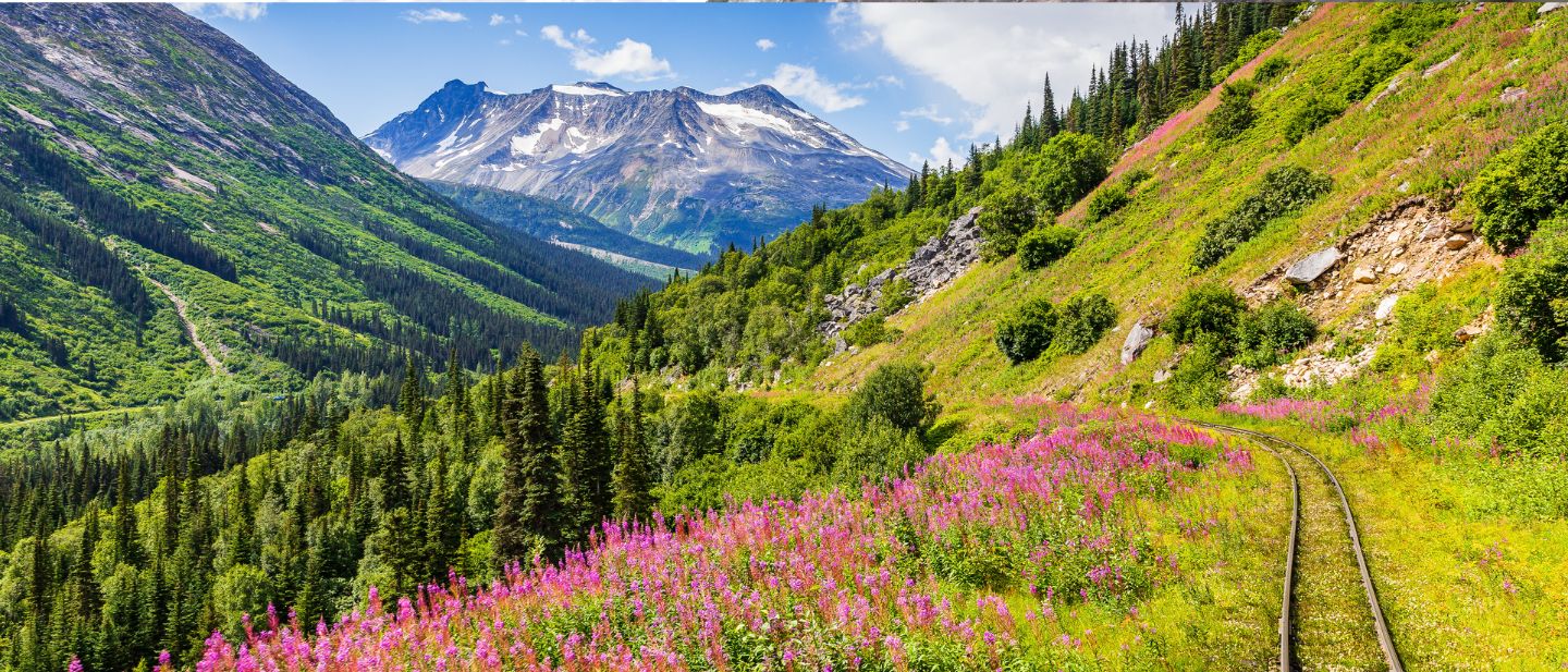 Estravel kelionių agentūra