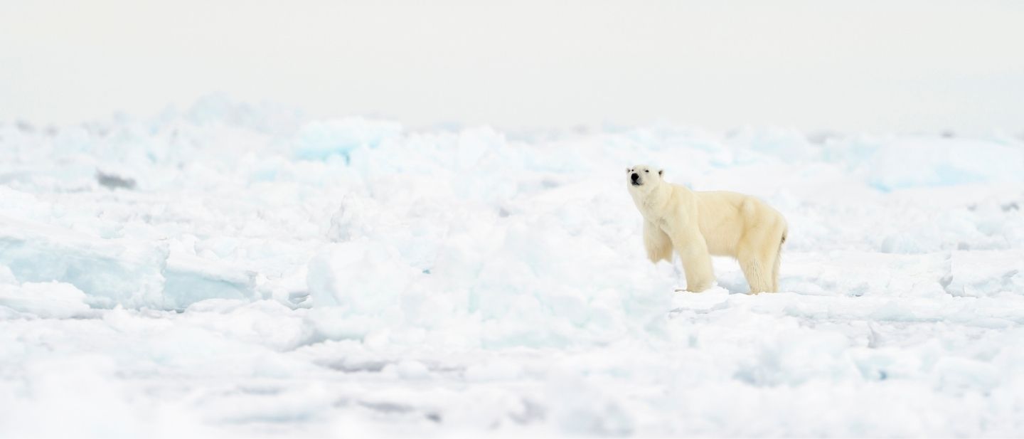 ekspediciniai kruizai
