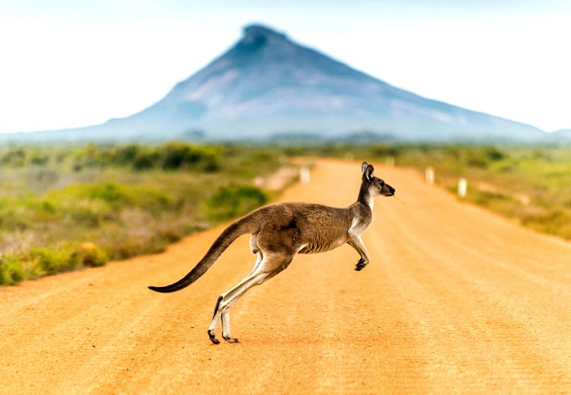 Estravel kelionių agentūra