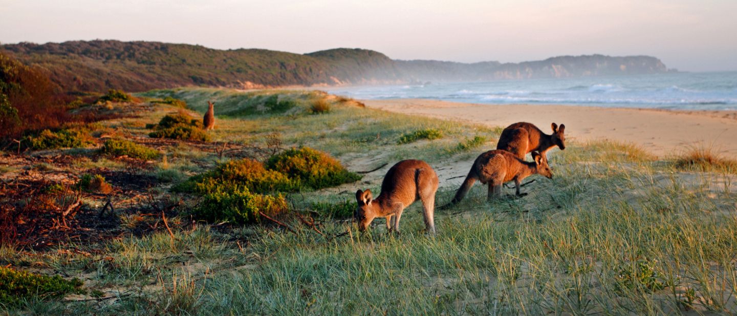 Estravel kelionių agentūra