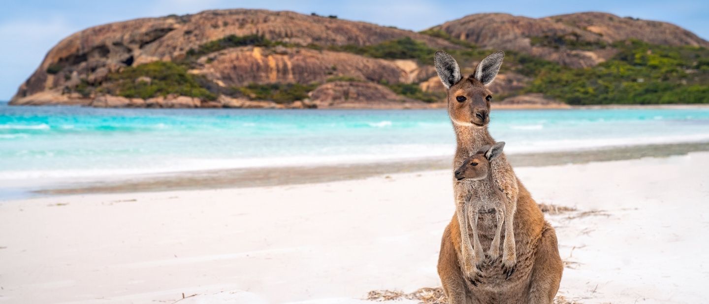 Australijos ir Okeanijos kruizai