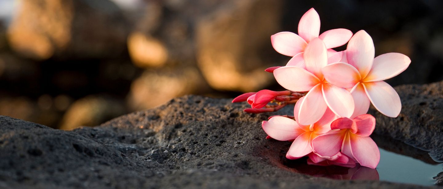 Estravel kelionių agentūra