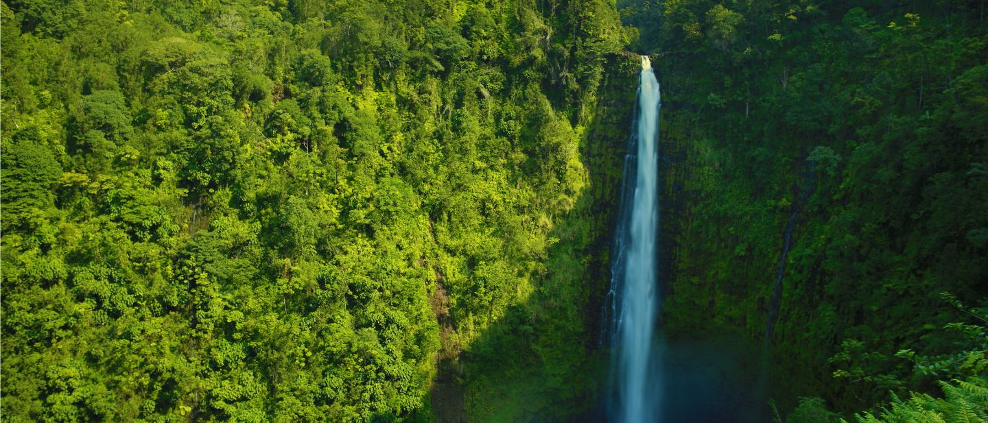 Estravel kelionių agentūra