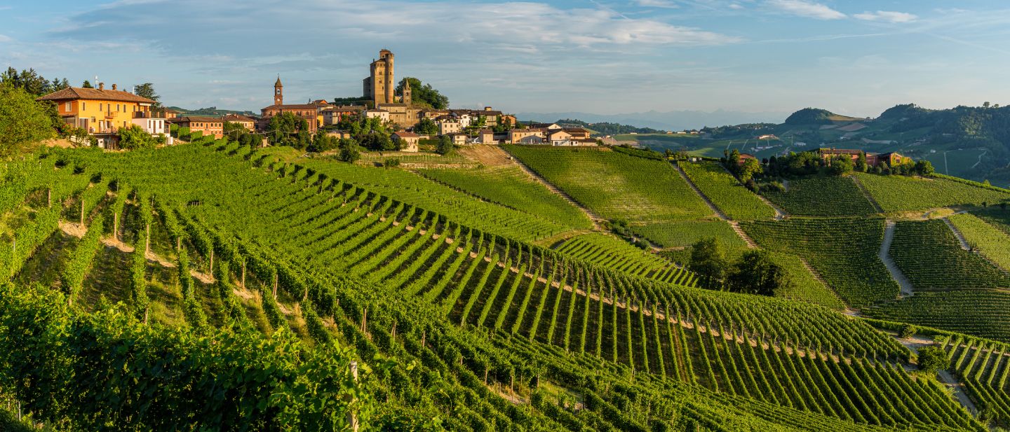 Estravel kelionių agentūra