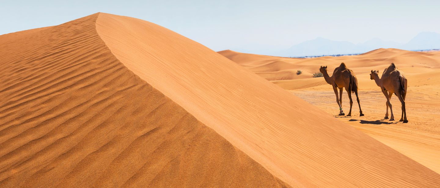 Estravel kelionių agentūra