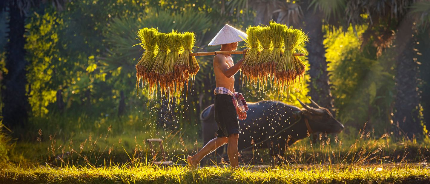 Estravel kelionių agentūra
