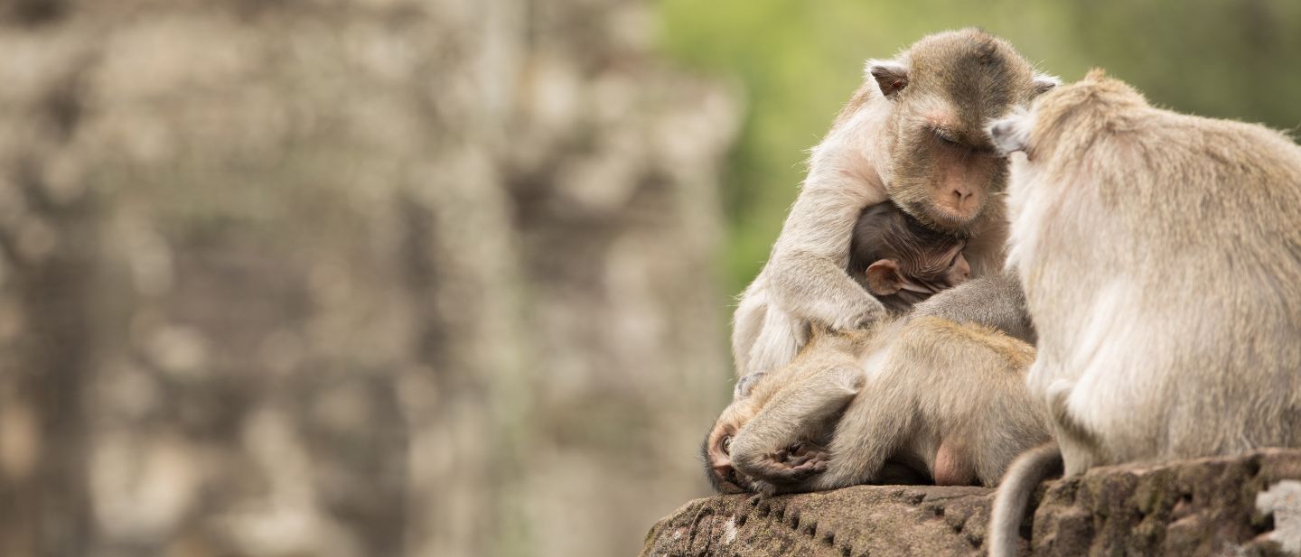 Estravel kelionių agentūra