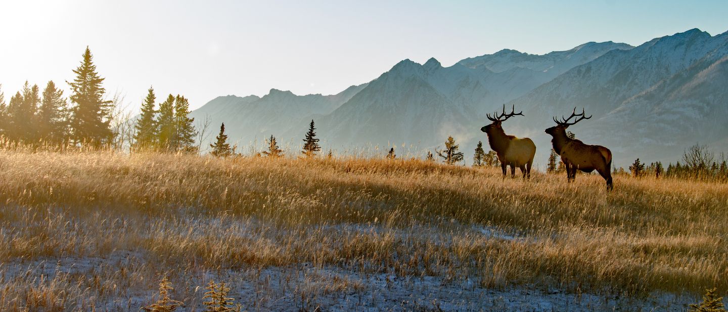 Estravel kelionių agentūra
