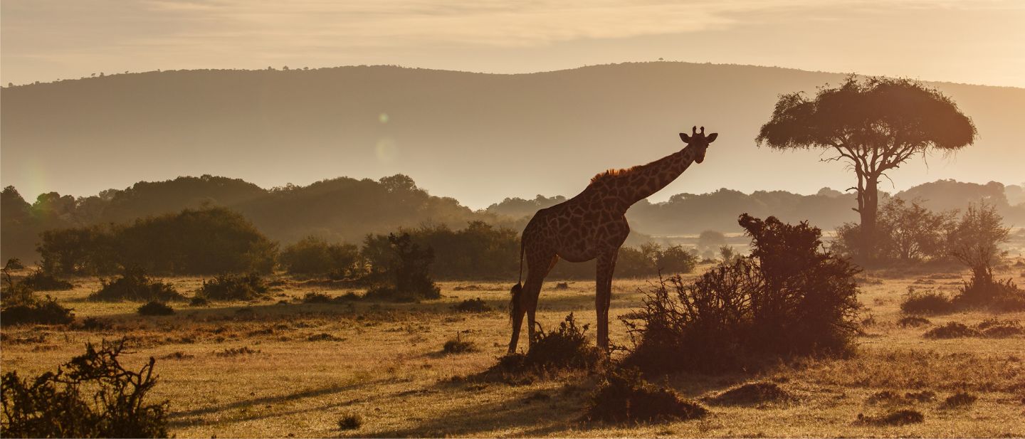 Estravel kelionių agentūra