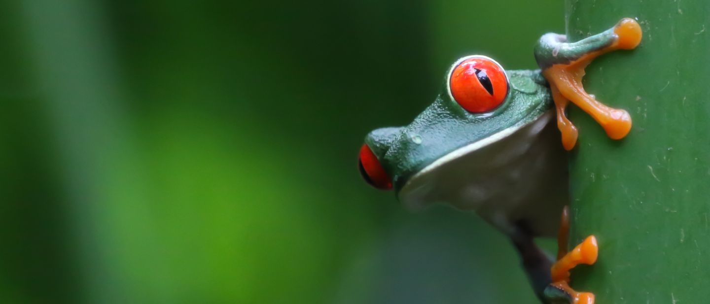 Estravel kelionių agentūra