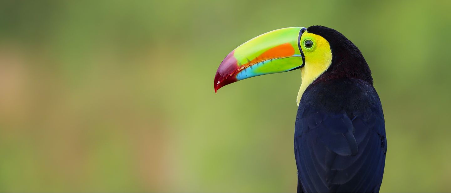 Estravel kelionių agentūra