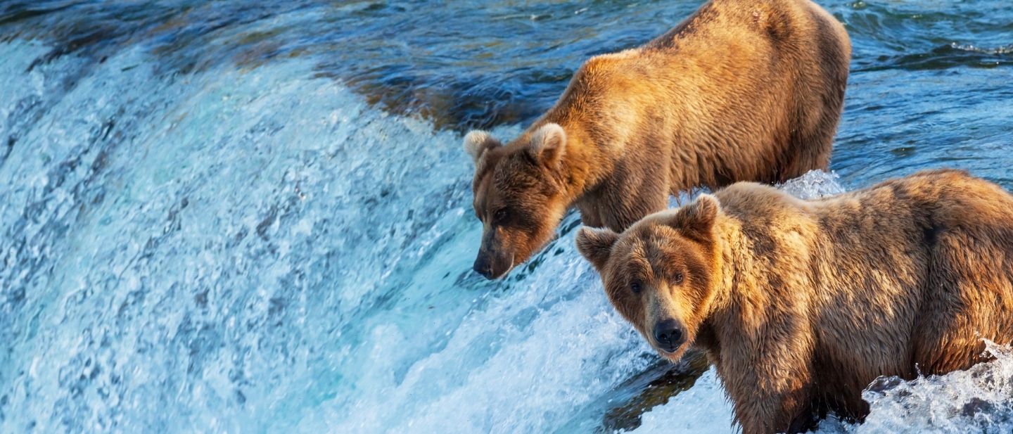 Kruizai po Šiaurės Ameriką (2)