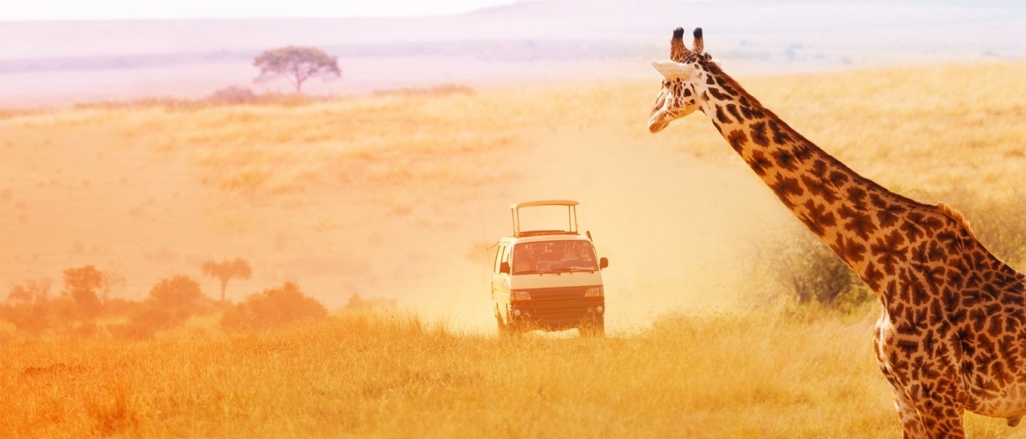 Kur keliauti lapkričio mėnesį