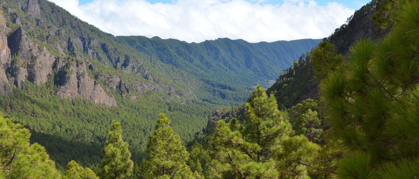 Estravel kelionių agentūra