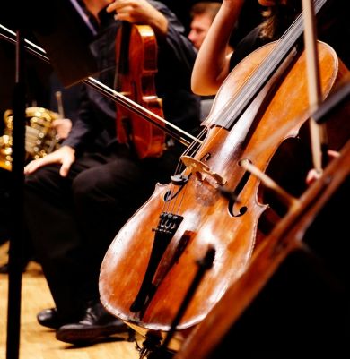 Pažaislio muzikos festivalis