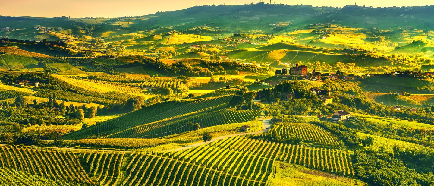 Estravel kelionių agentūra