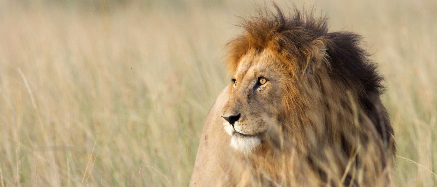 Estravel kelionių agentūra