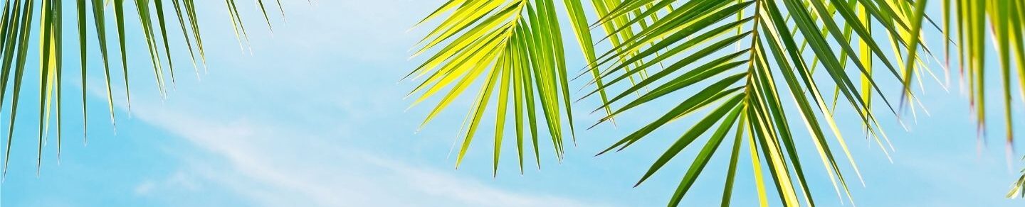 Estravel kelionių agentūra