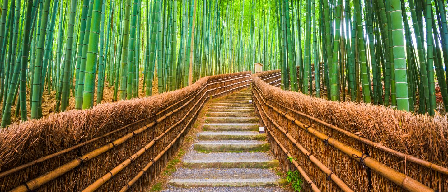 Estravel kelionių agentūra