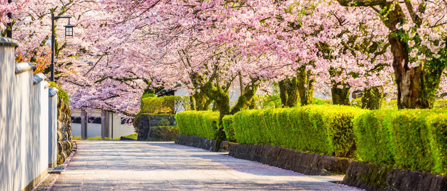 Estravel kelionių agentūra