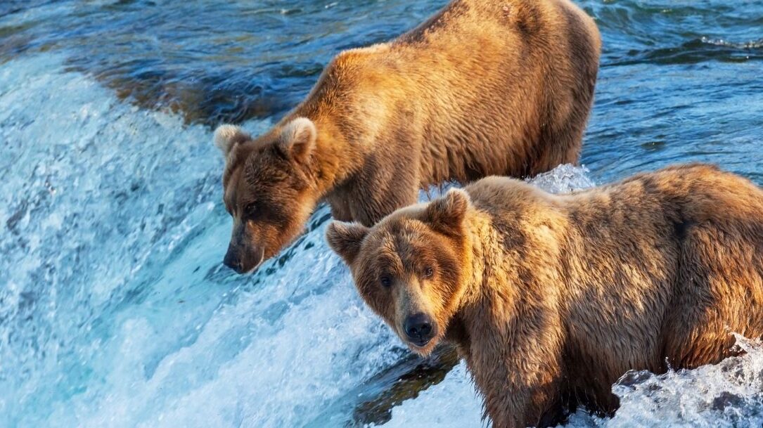 Estravel kelionių agentūra