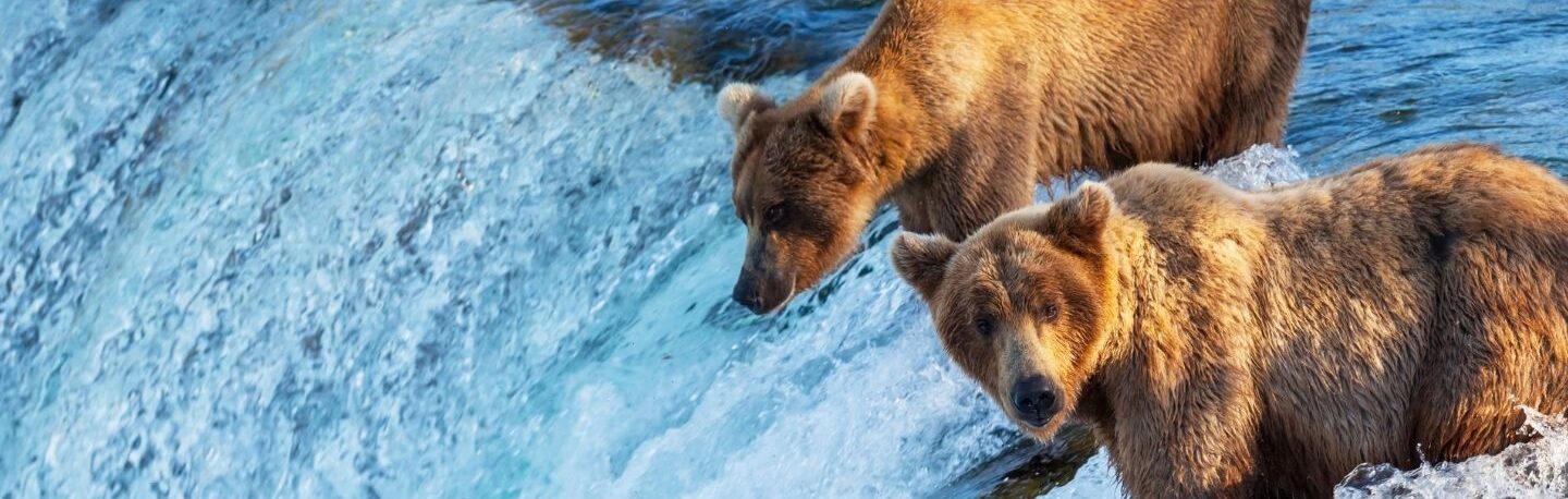 Estravel kelionių agentūra