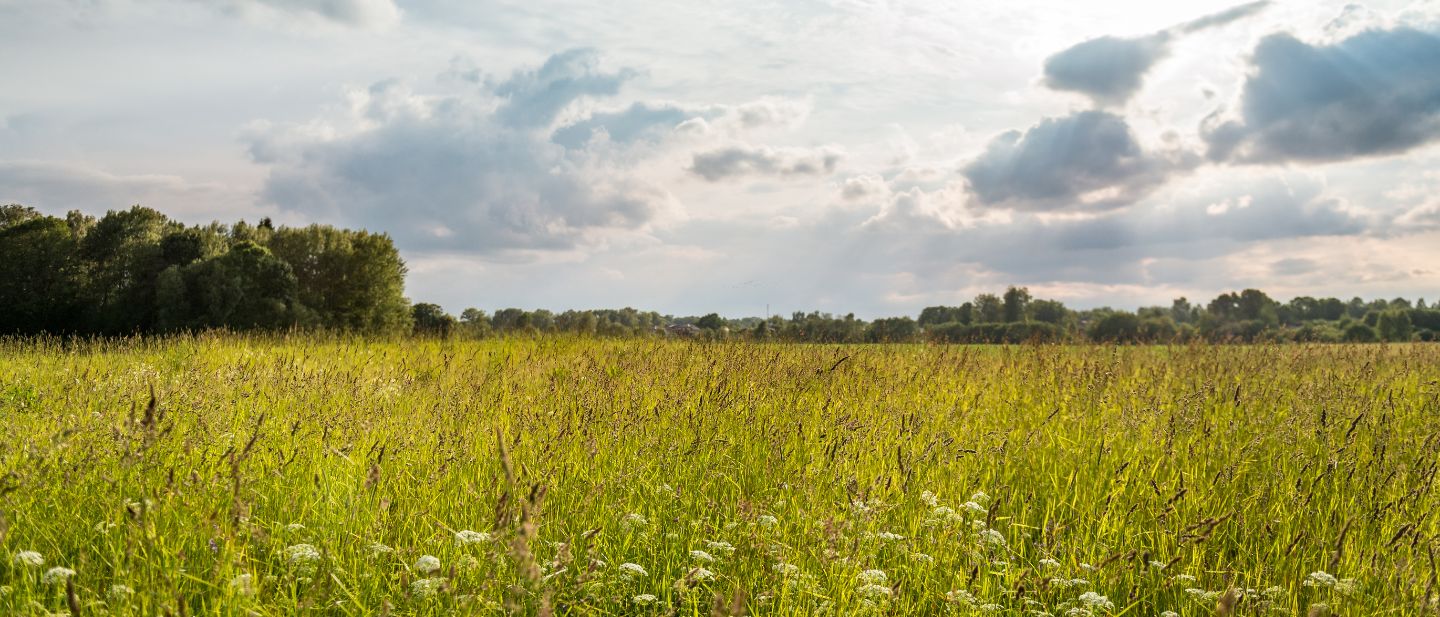 Estravel kelionių agentūra