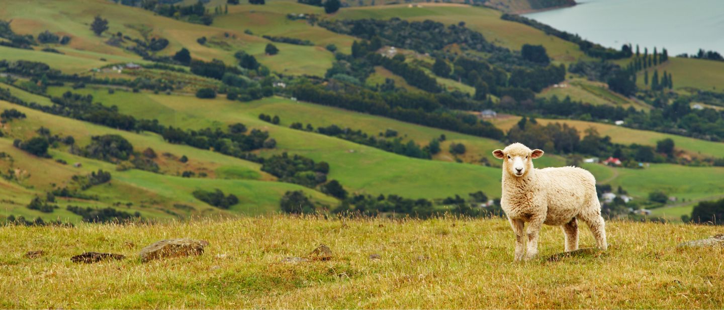 Estravel kelionių agentūra