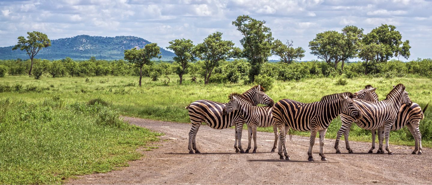 Estravel kelionių agentūra