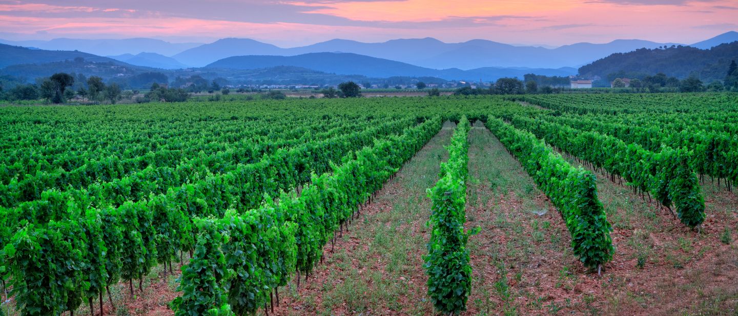 Estravel kelionių agentūra