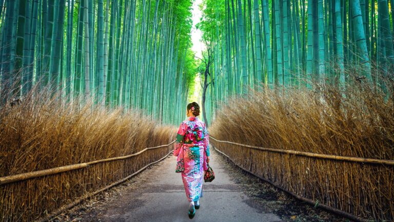 2 sav. pažintinė kelionė į Japoniją