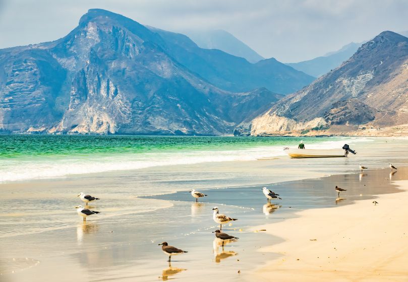 Estravel kelionių agentūra