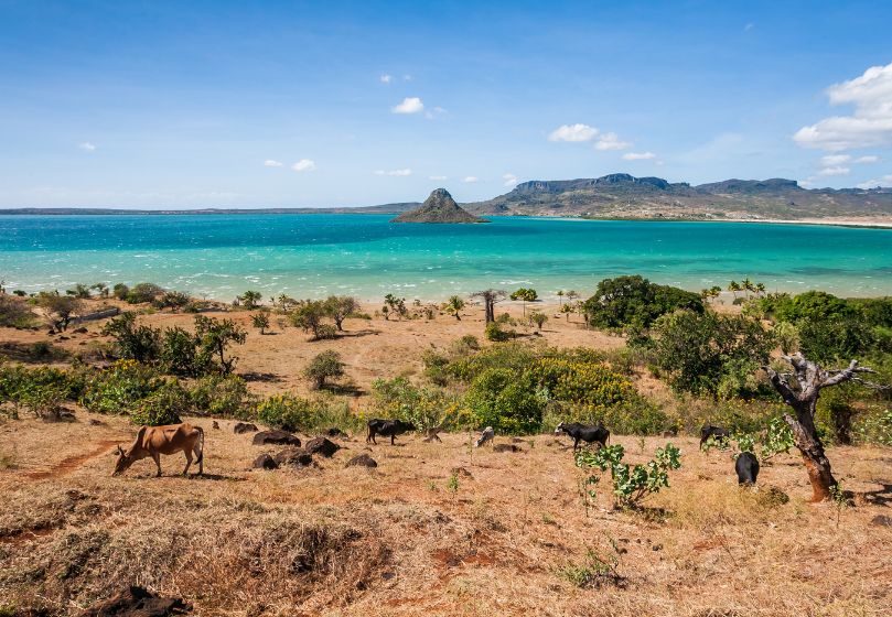 Estravel kelionių agentūra