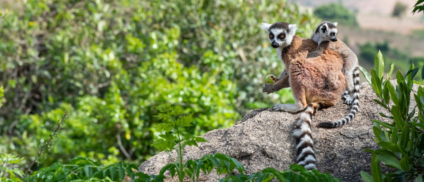 Estravel kelionių agentūra