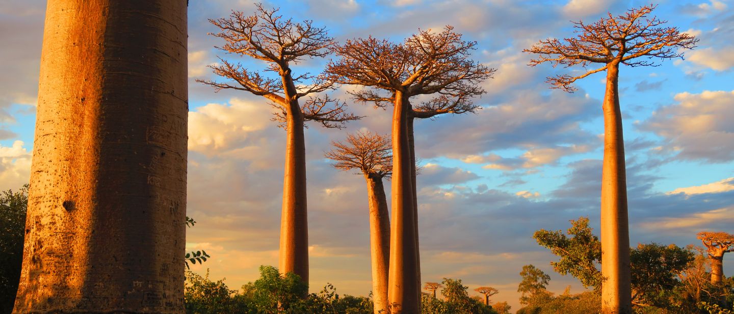 Estravel kelionių agentūra