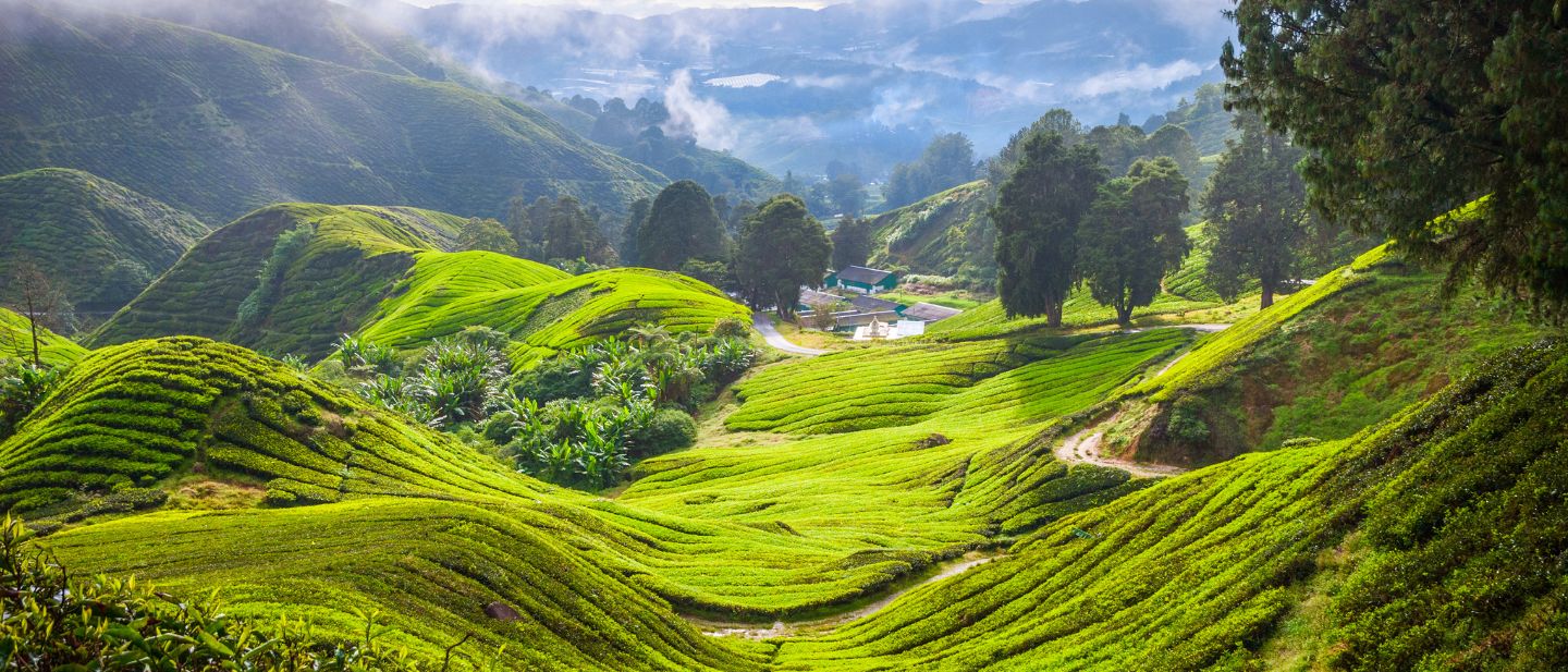 Estravel kelionių agentūra