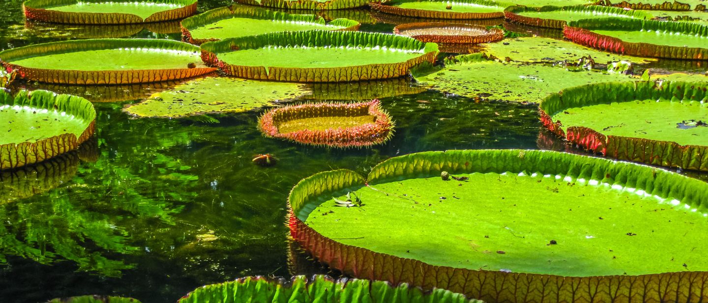 Estravel kelionių agentūra