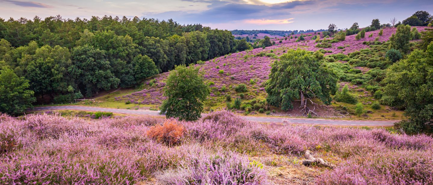 Estravel kelionių agentūra