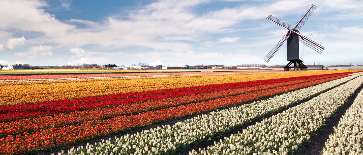 Estravel kelionių agentūra